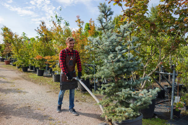 Best Tree Pruning Services  in Ahtanum, WA